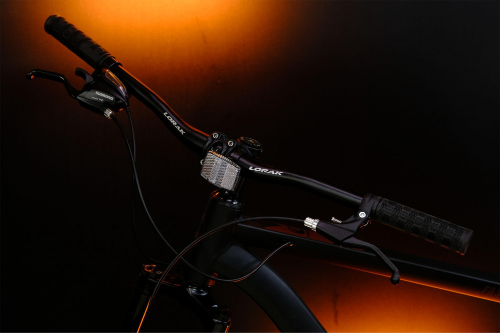 LORAK Fast Brown 29 Матовый Чёрный рама 19 (на рост 171-182)